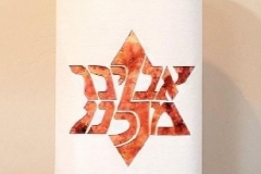 Avinu Malkeinu Star - High Holiday Torah Cover