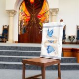 Zachor chair with butterflies